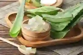 Benefits of aoevera of Benefits of Aloe Vera for Hair, Skin and Weight-Loss..